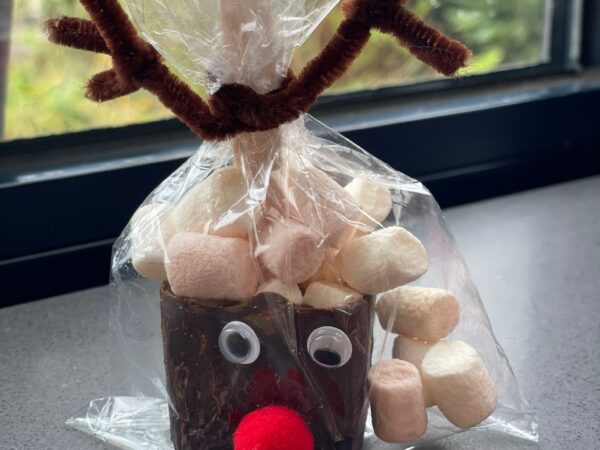NIEUW!!! Chocolade sticks met marshmallows